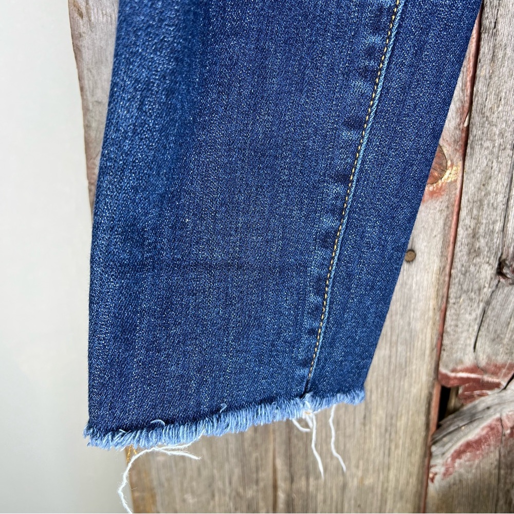 Driftwood Jackie Chevron Embroidered Skinny Jeans sz 26 - Picture 8 of 14